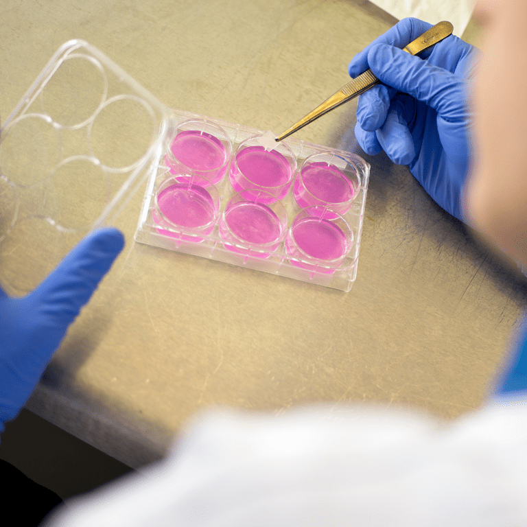 Cytotoxicity Extraction Elution Method