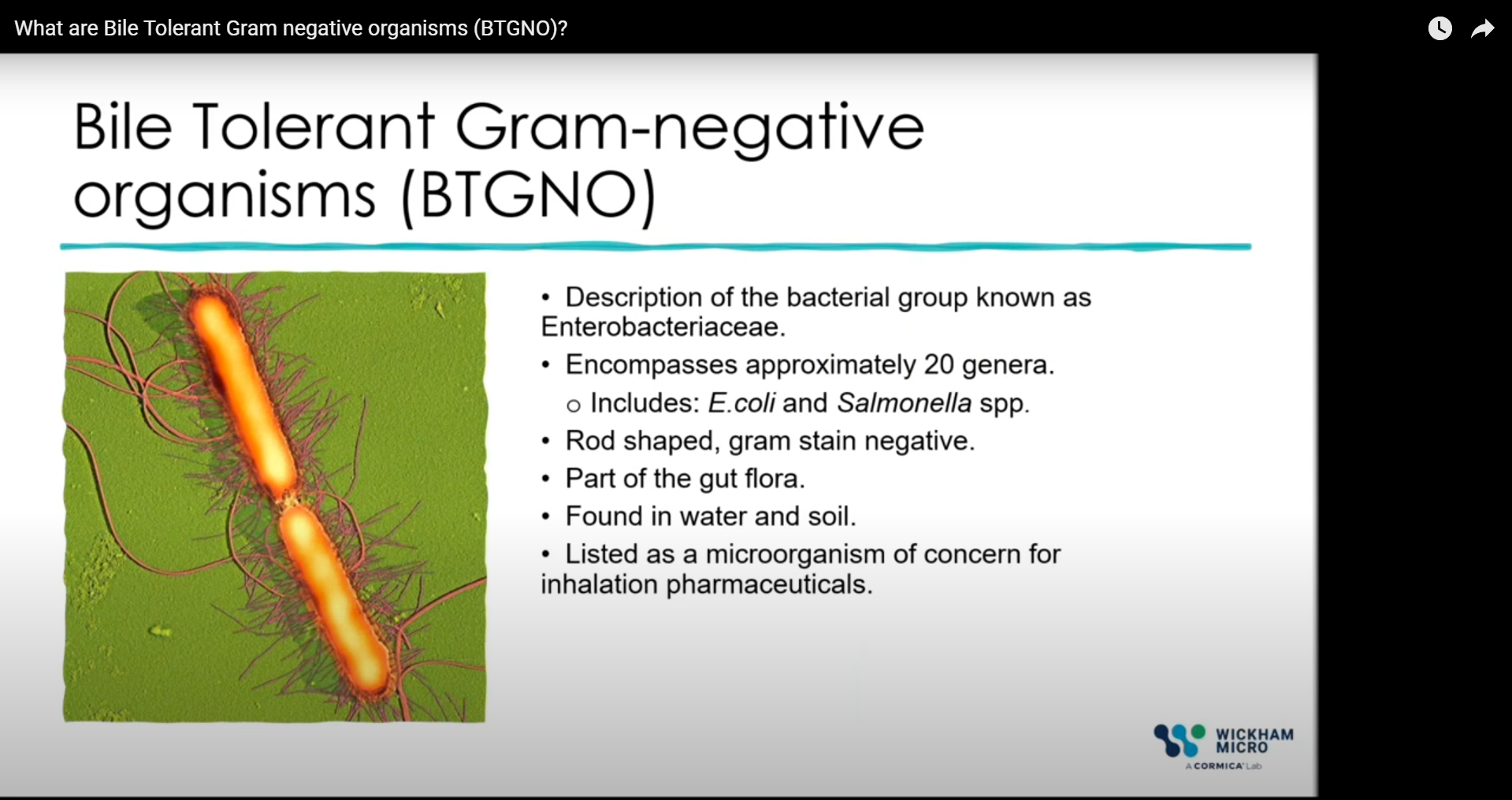 What are Bile Tolerant Gram negative organisms (BTGNO)?