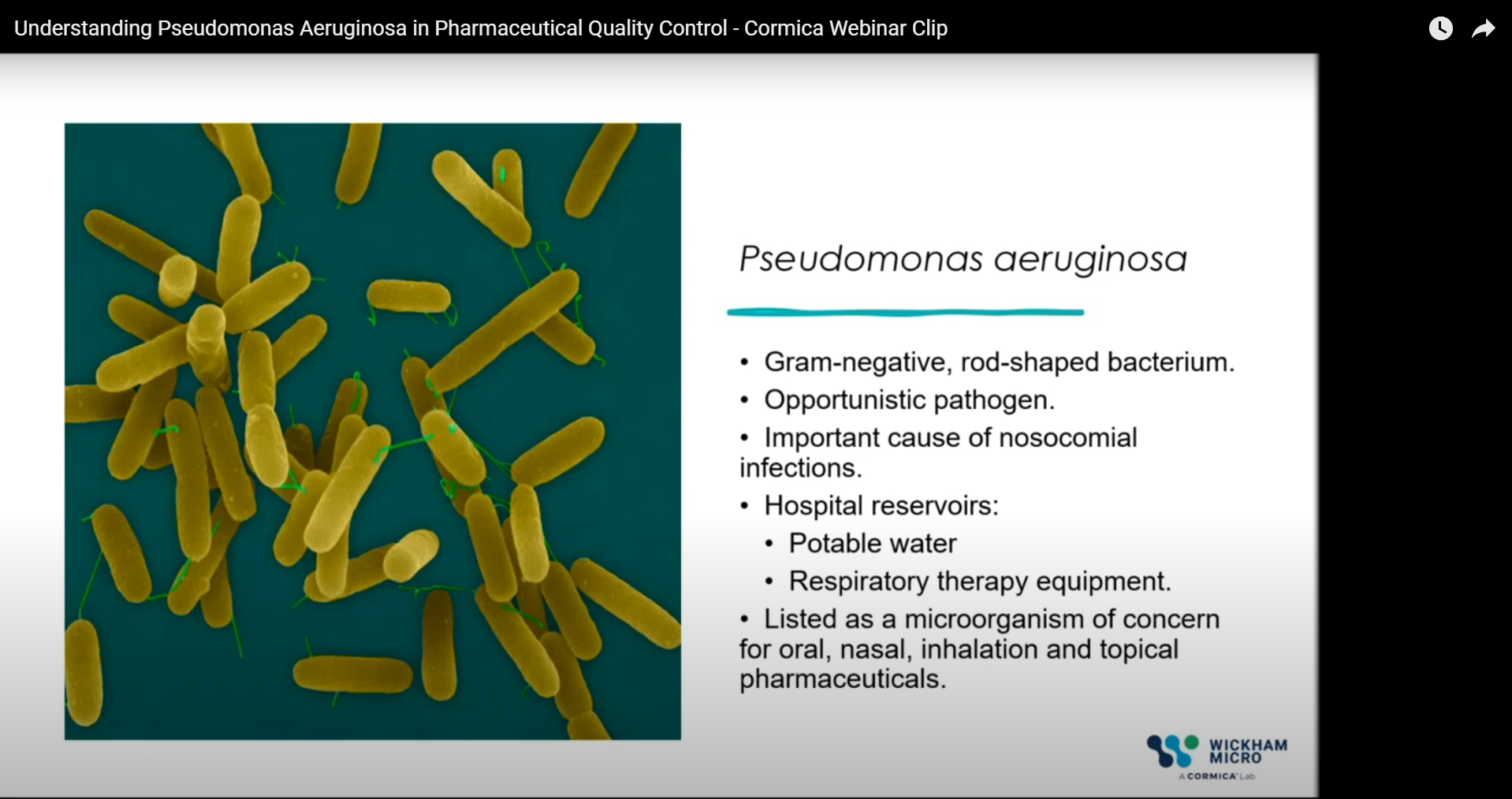 Understanding Pseudomonas Aeruginosa in Pharmaceutical Quality Control