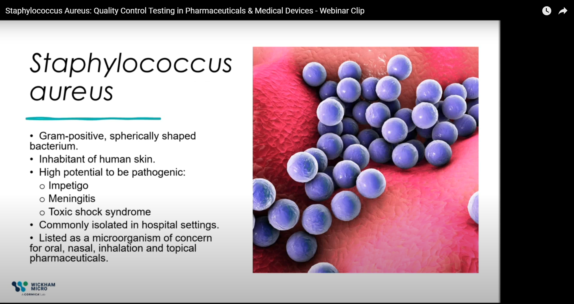 Staphylococcus Aureus: Quality Control Testing in Pharmaceuticals & Medical Devices - Webinar Clip