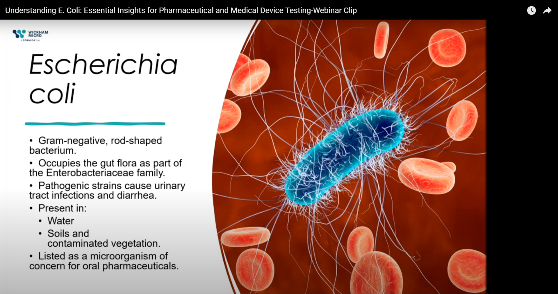 Understanding E. Coli: Essential Insights for Pharmaceutical and Medical Device Testing